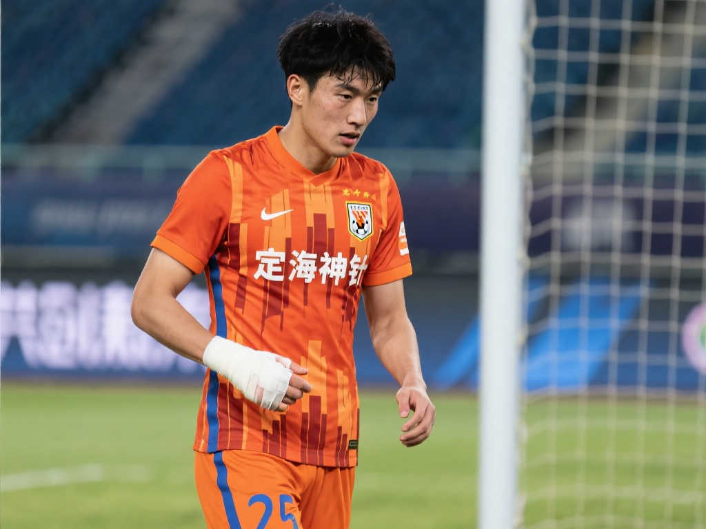 的球队构建 的球队构建